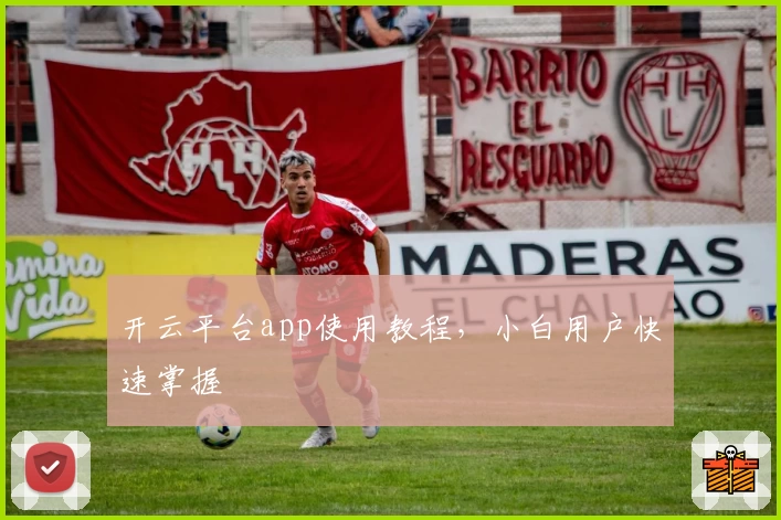 开云平台app使用教程，小白用户快速掌握