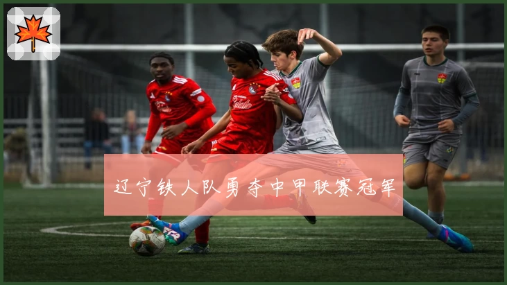 辽宁铁人队勇夺中甲联赛冠军