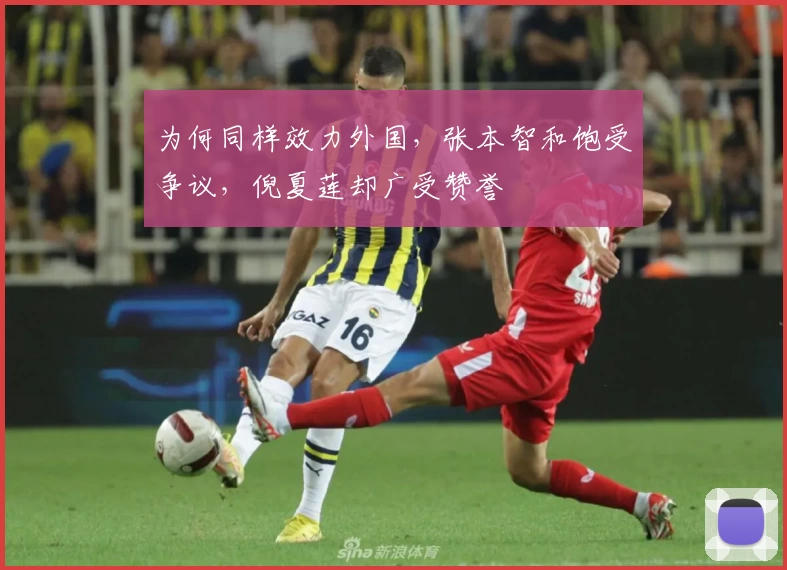 为何同样效力外国，张本智和饱受争议，倪夏莲却广受赞誉