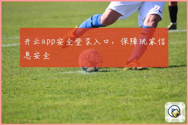 开云app安全登录入口，保障玩家信息安全